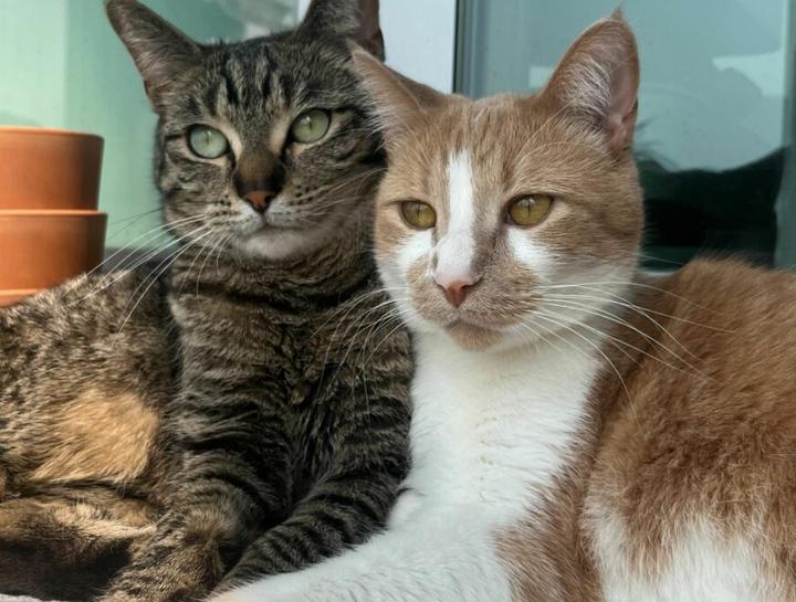 February 2025 Newsletter